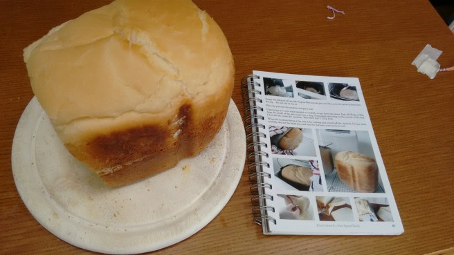 wp-1436302641940 image